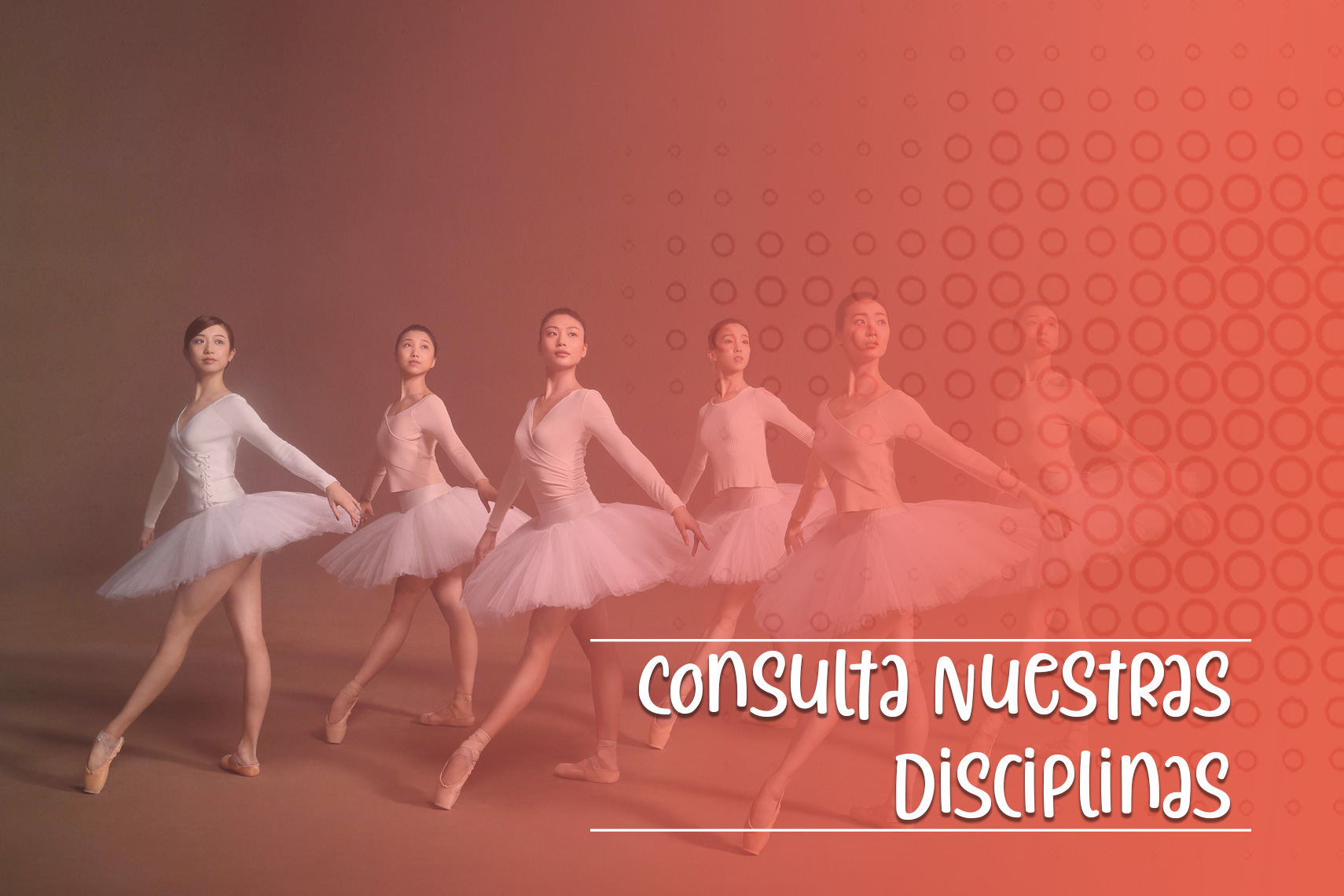 consulta disciplinas